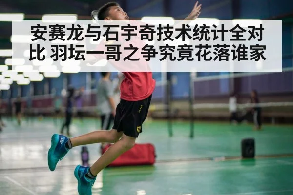 安赛龙与石宇奇技术统计全对比 羽坛一哥之争究竟花落谁家