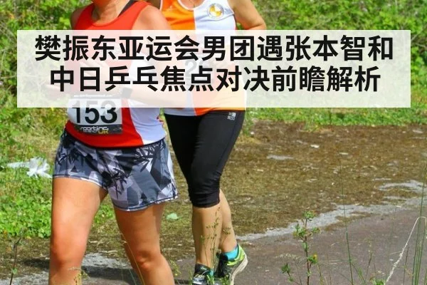 樊振东亚运会男团遇张本智和 中日乒乓焦点对决前瞻解析